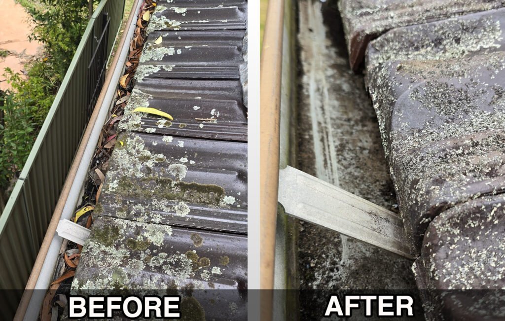 Gutter Cleaning Services